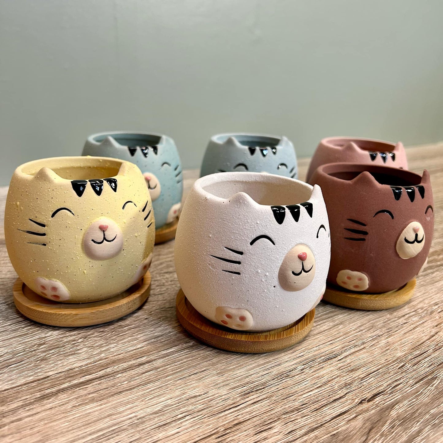Cute Cat Animal Succulent Plant Pots