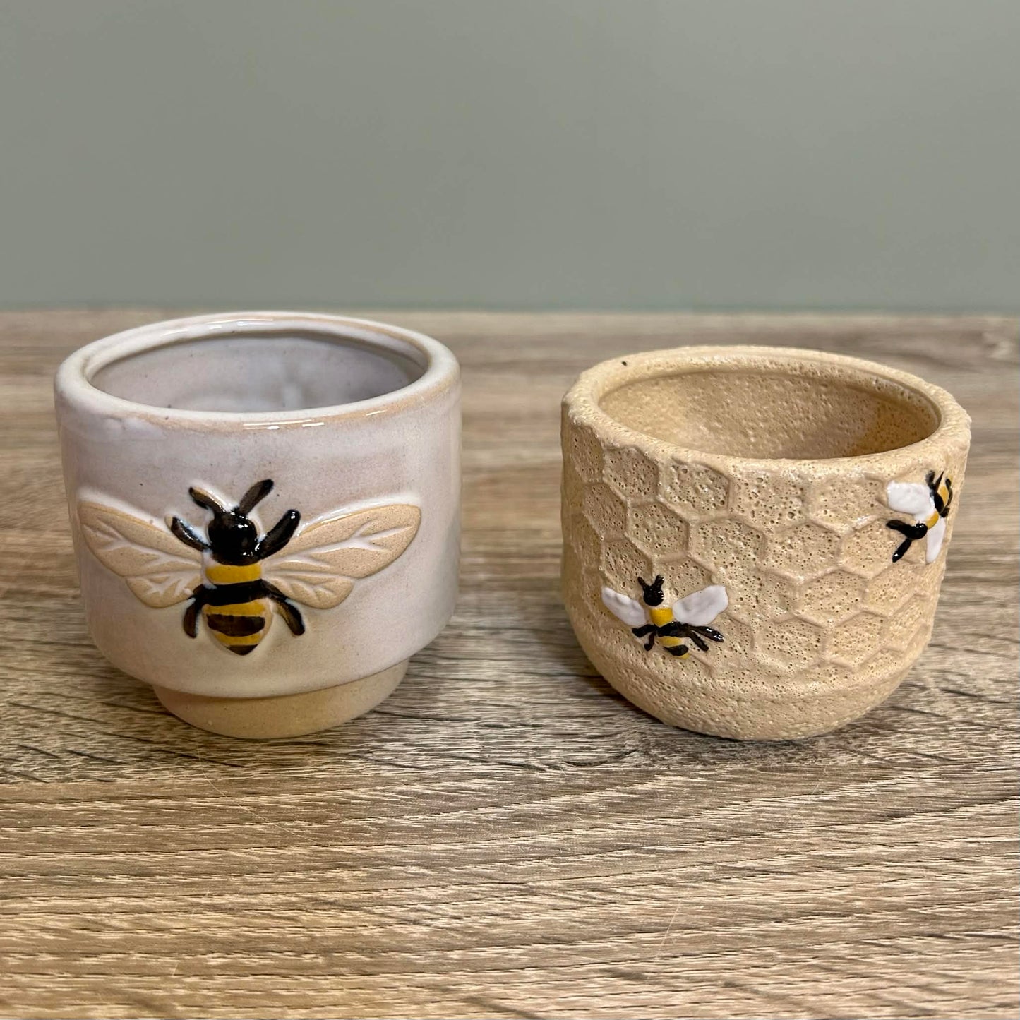 Bumblebee And Honeycomb Plant Pots