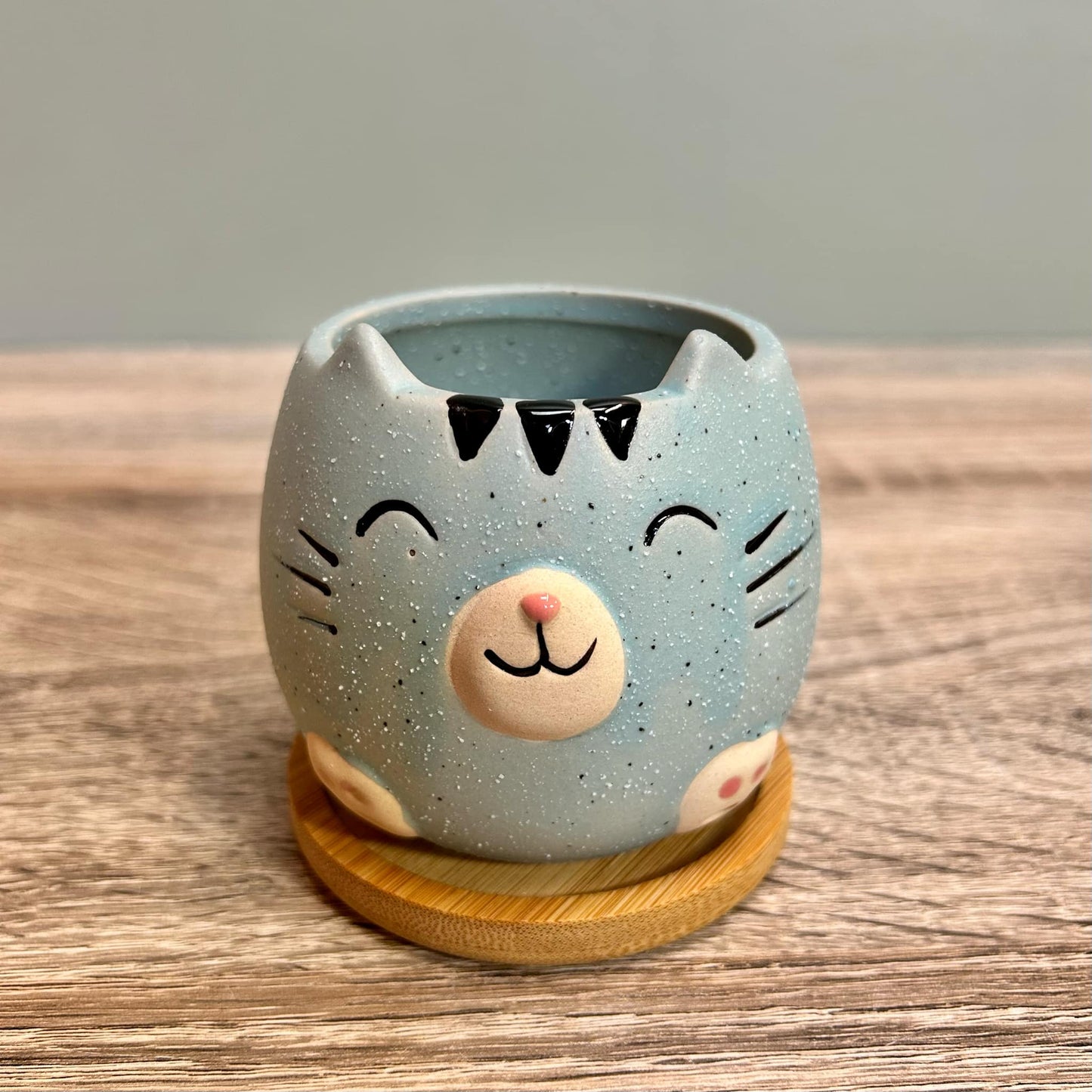 Cute Cat Animal Succulent Plant Pots