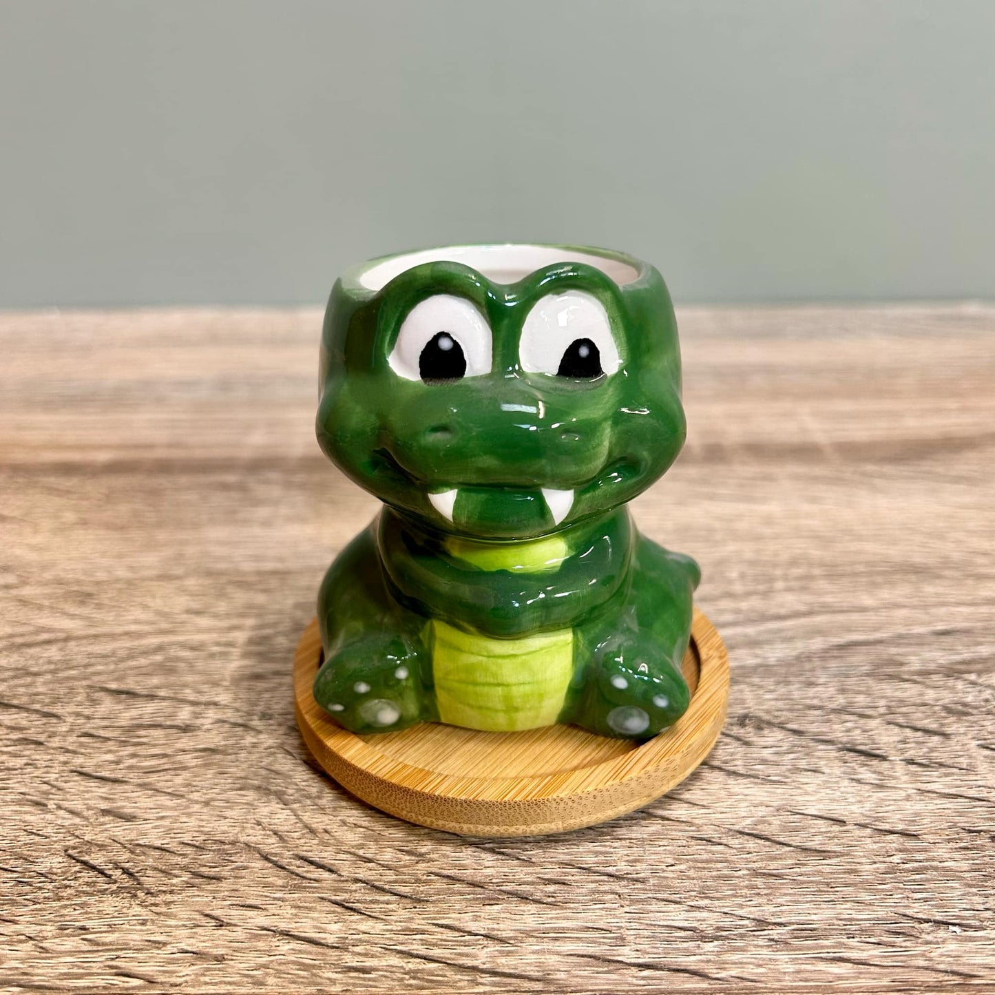 Animal Succulent Plant Pots Variations