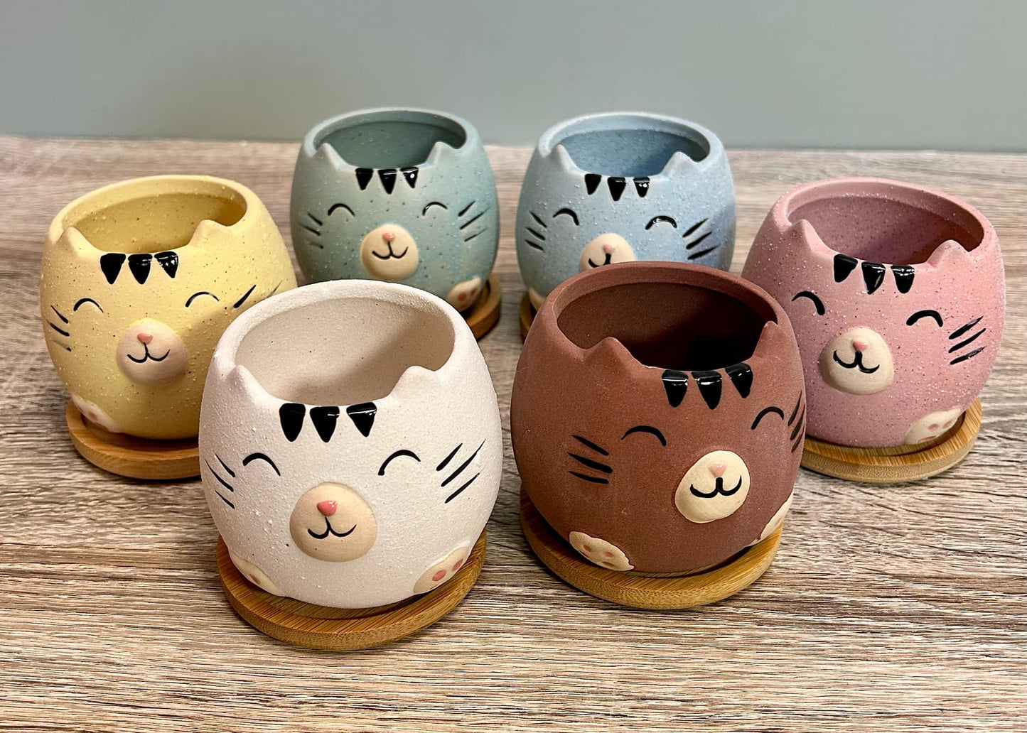 Cute Cat Animal Succulent Plant Pots