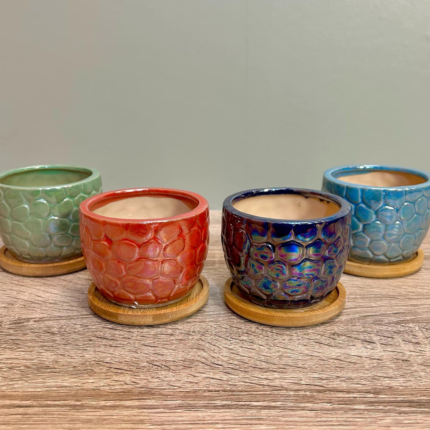 Ceramic Gloss Succulent Planters