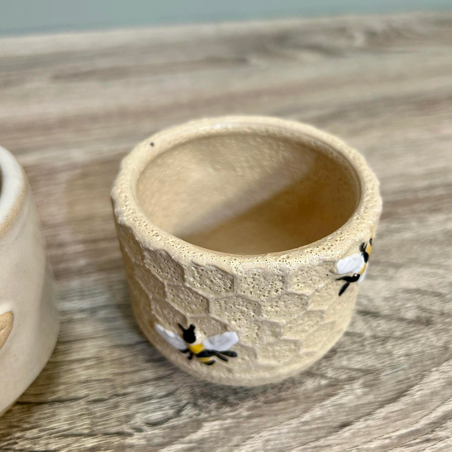 Bumblebee And Honeycomb Plant Pots