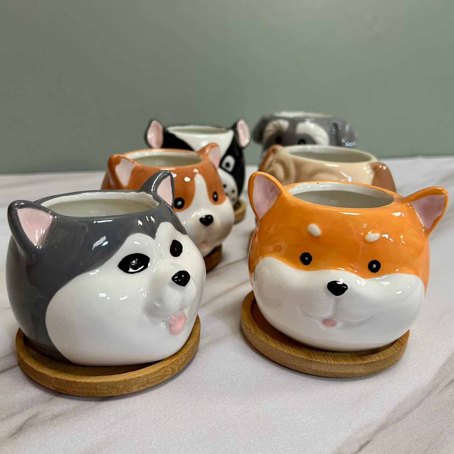 Dog Succulent Plant Pots