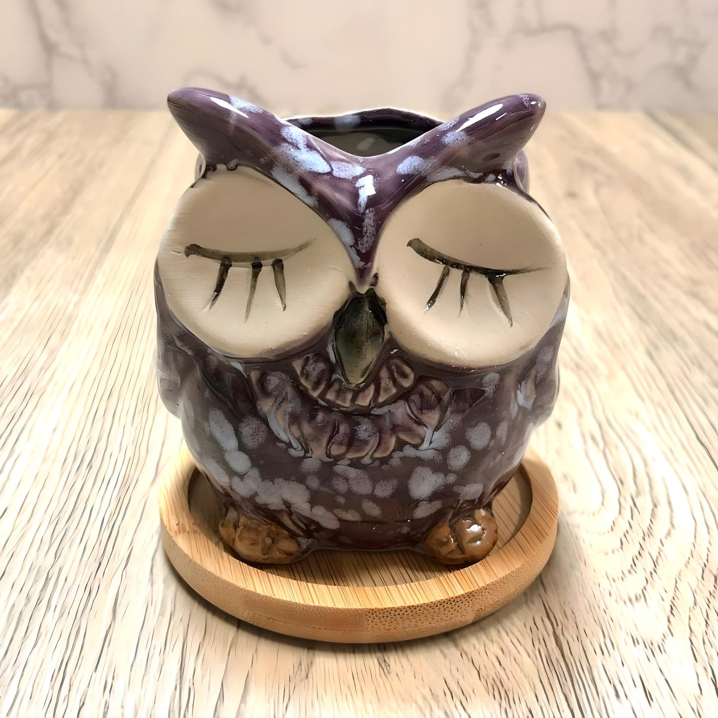 Owl Succulent Plant Pots