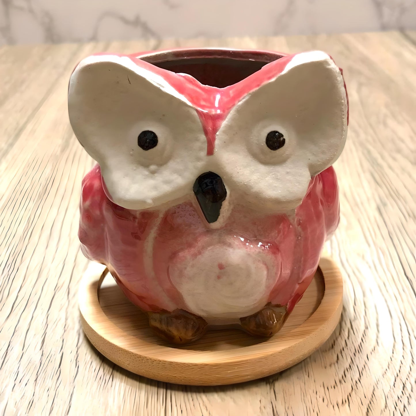 Owl Succulent Plant Pots