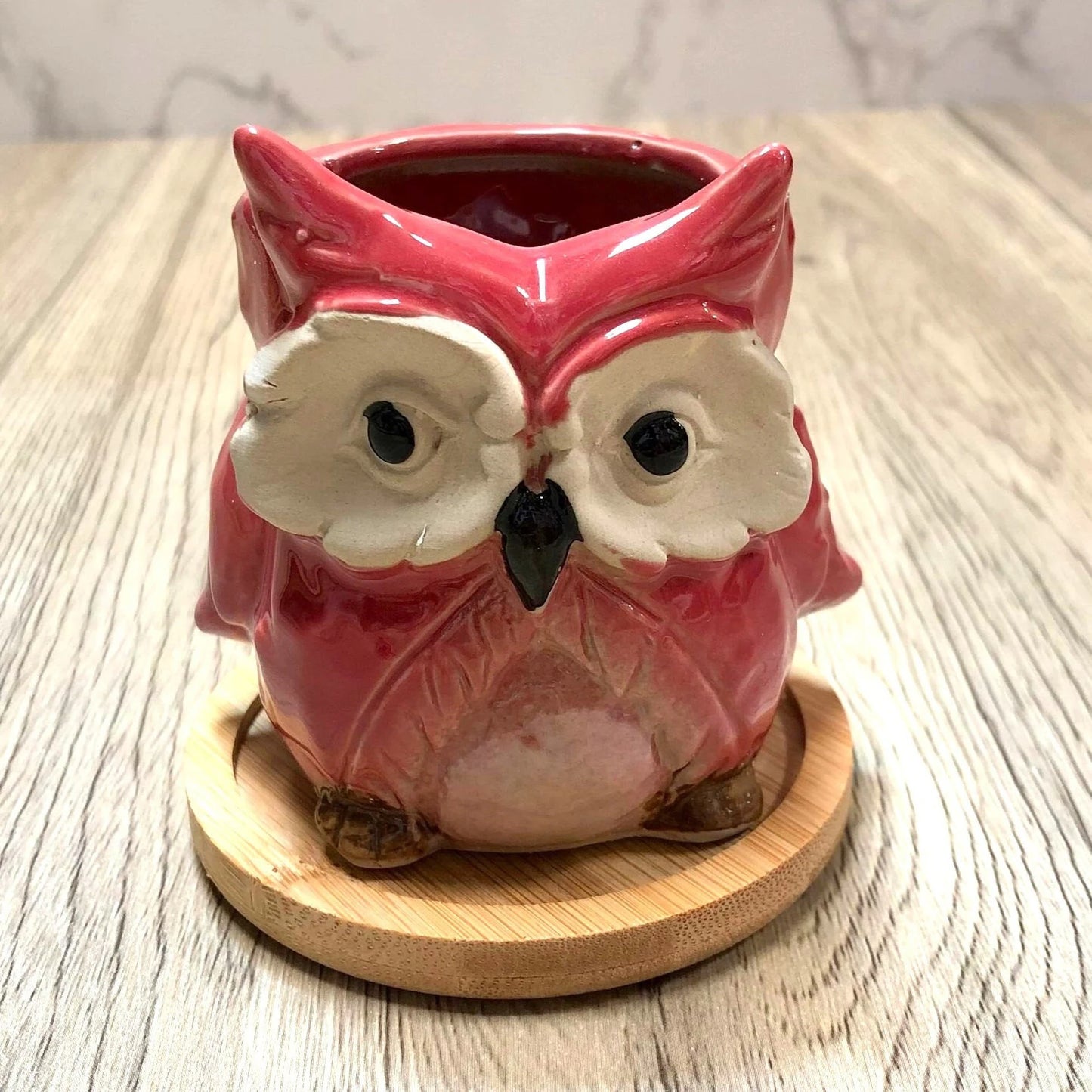 Owl Succulent Plant Pots