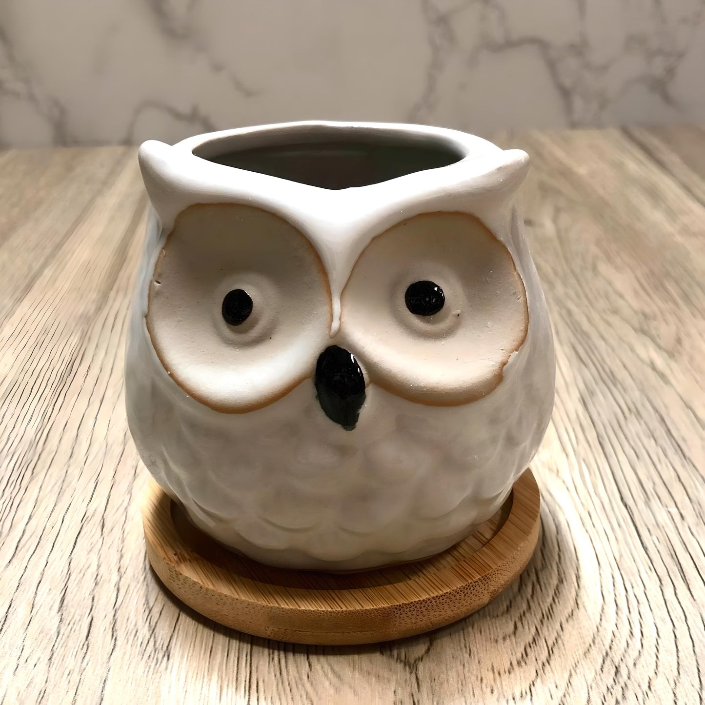 Owl Succulent Plant Pots