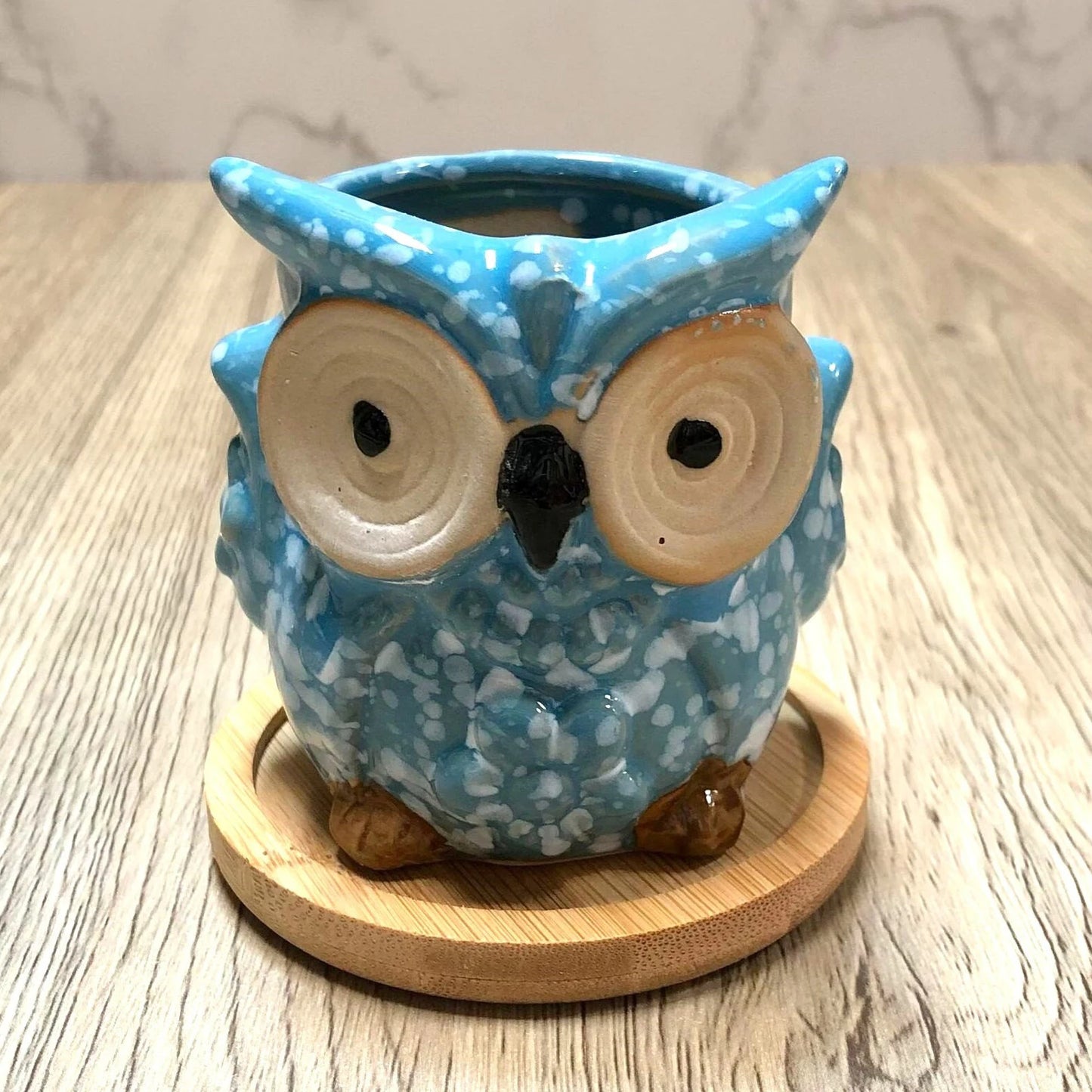 Owl Succulent Plant Pots