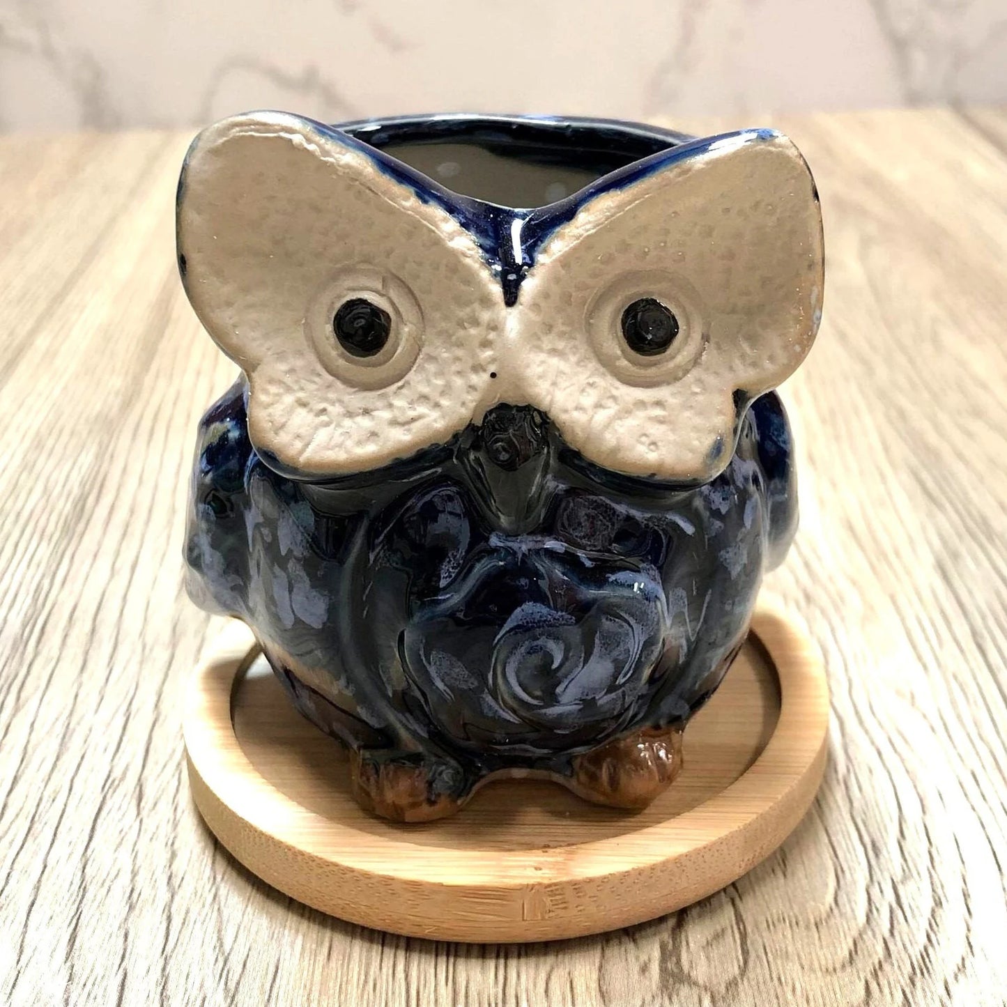 Owl Succulent Plant Pots