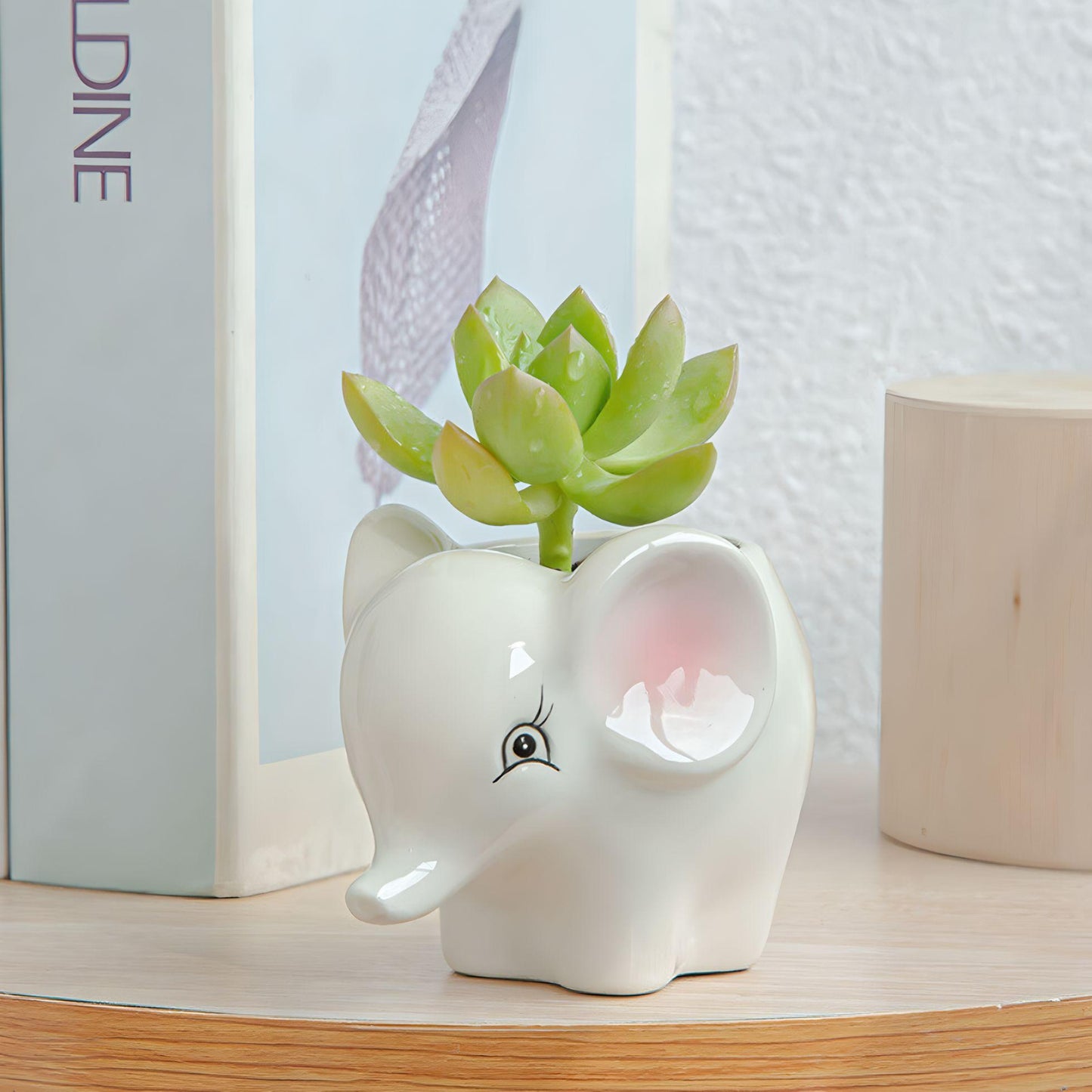 Animal Succulent Planters WITH Bamboo Coaster / Small Desktop Plant Pot / Indoor Office Home Decor / Cute Animal Planters / Gift Idea